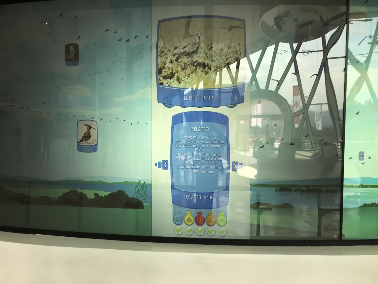 מסך הידעת על חיוויאי הנחשים, עם סימוני התכונות שהושלמו בחידון.