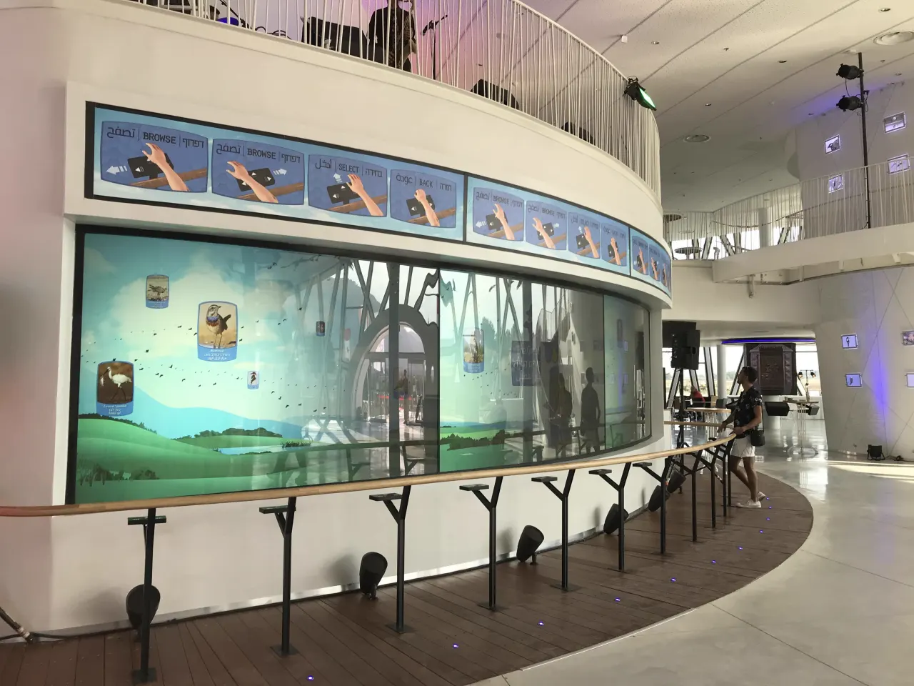 המוצג הקשתי וקיר הציפורים במרכז המבקרים אגמון החולה.
