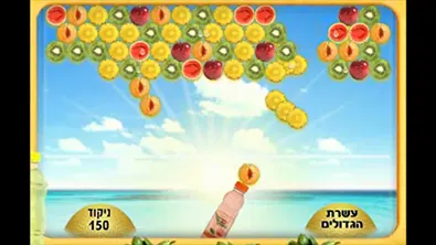 פריגת צלול — מסך מהפרויקט